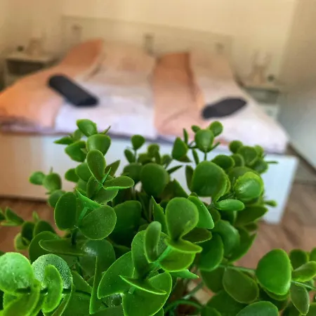Mátrai Vadászház 3-Vintage Cottage Matraterenye Kültér fotó
